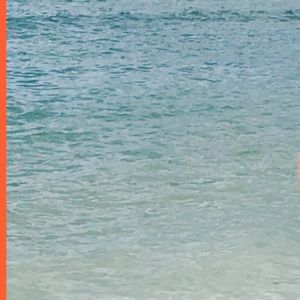 Meet your Posher, Misty